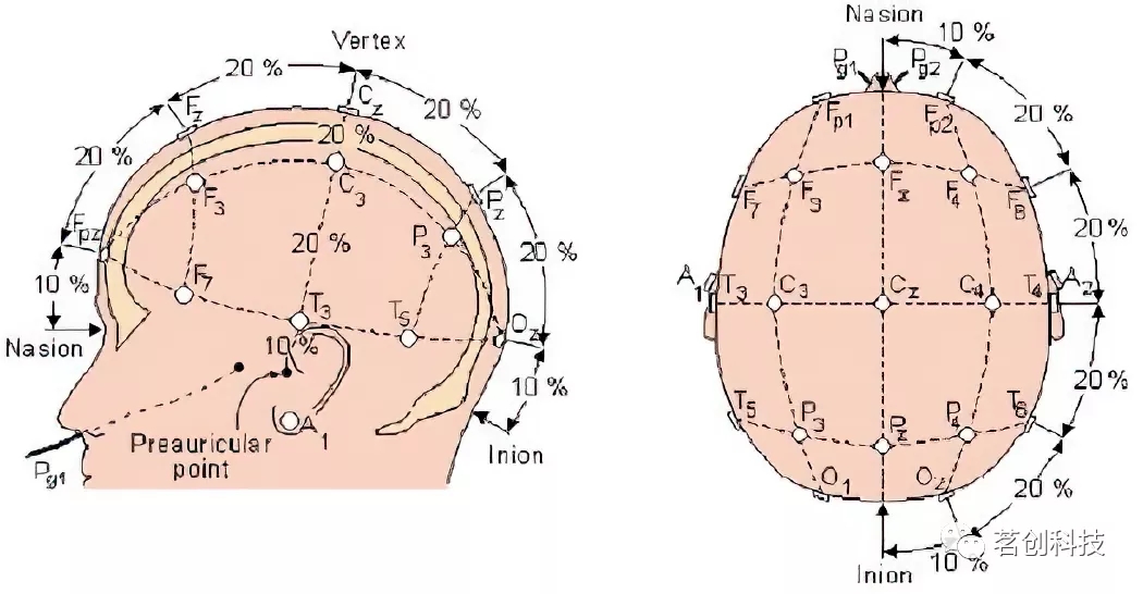  腦電實驗流程及注意事項