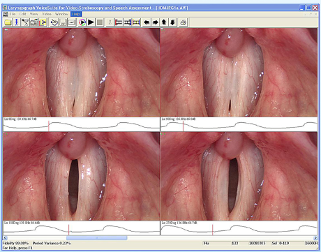 5cc0290210bc2.png 20190421022020.png