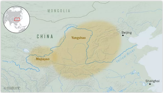 5cc2ea557d369.png image.png