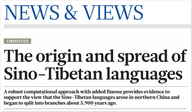 5cc2ea69606e2.png image.png