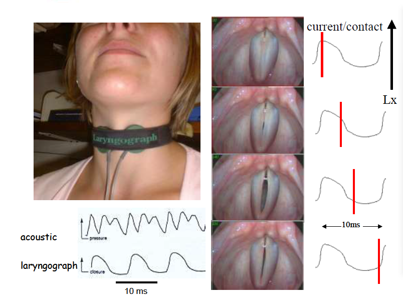 5def56a9412c8.png 軟件.png